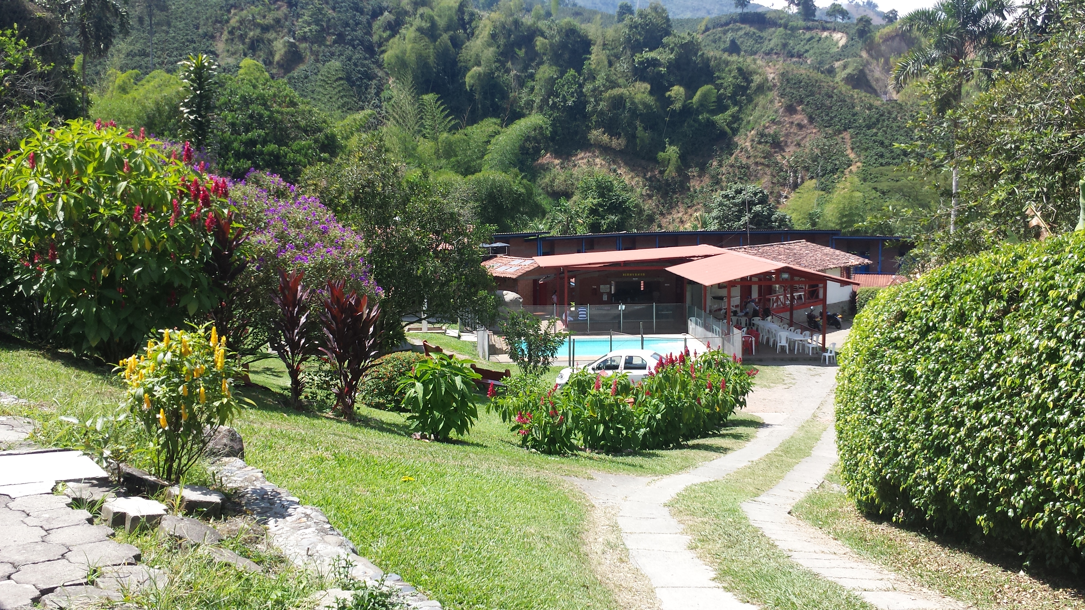 Quiénes Somos - Fundación Mnematica